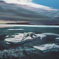 Arctic Wolf At Twilight